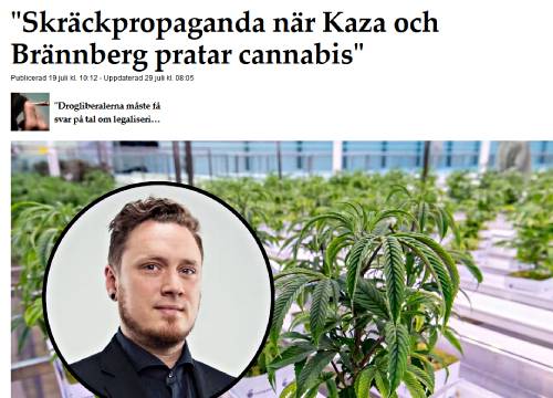 folkbladet-cannabis